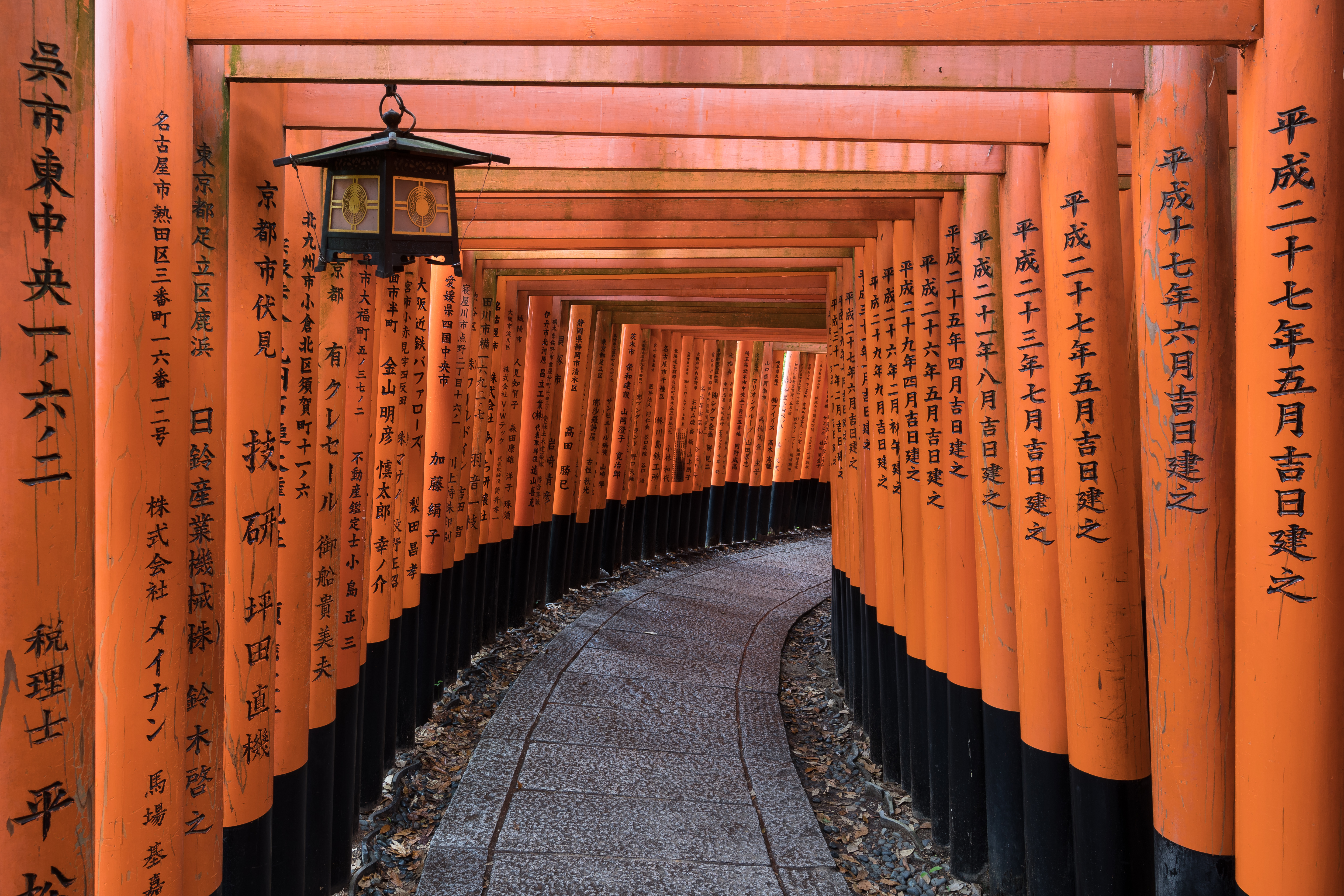 A torii path with a hanging lantern at Fushimi Inari Taisha Shrine, Senbon Torii, Kyoto, Japan.