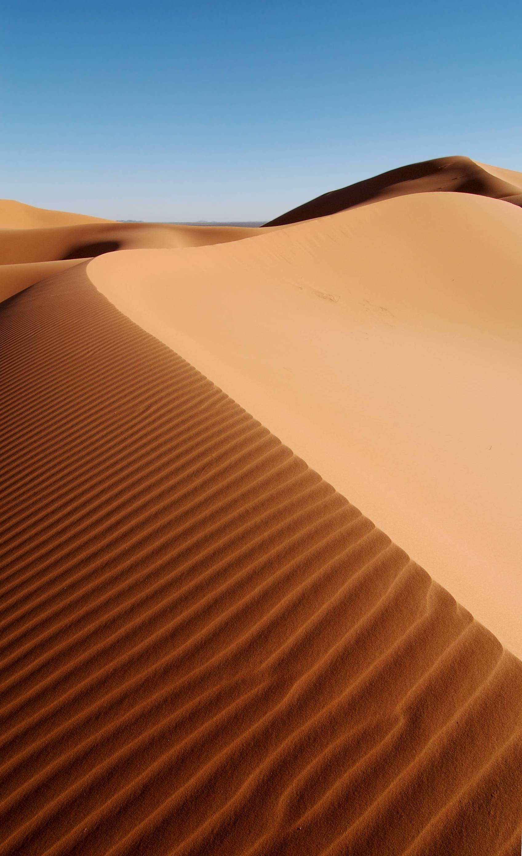 Erg Chebbi, Morocco, Africa.